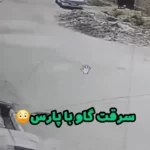 (ویدئو) لحظه سرقت مسلحانه گاو و تعدادی گوسفند با پژو در دزفول!