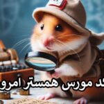 کد مورس امروز همستر ۵ شهریور🐹برای دریافت یک میلیون سکه چیه؟