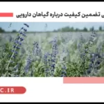 نکات ایمنی در مورد مصرف گیاهان دارویی + ویدئو