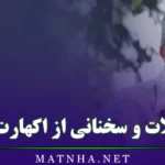 جملات و سخنانی از اکهارت تله (متن های عمیق و معنوی از اکهارت تله)