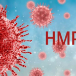 دروغ ترسناک «ویروس چینی»؛ «HMPV» از شایعه تا واقعیت دروغ ترسناک «ویروس چینی»؛ «HMPV» از شایعه تا واقعیت