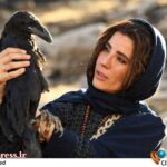 «خاتی» دارای لوگو رسمی شد – اخبار سینمای ایران و جهان