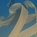 این موجود اسرارآمیز بچههایش را از دهانش به دنیا میآورد این موجود اسرارآمیز بچههایش را از دهانش به دنیا میآورد