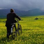 پوستر فیلم «سونسوز» منتشر شد – اخبار سینمای ایران و جهان