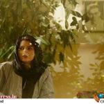 فیلمهای توقیفی به بخش ویژه جشنواره «فیلم فجر» آمدند – اخبار سینمای ایران و جهان فیلمهای توقیفی به بخش ویژه جشنواره «فیلم فجر» آمدند – اخبار سینمای ایران و جهان