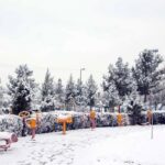 تفال به حافظ یکشنبه ۱۴ بهمن ۱۴۰۳؛ کنون که میدمد از بوستان نسیم بهشت…. تفال به حافظ یکشنبه ۱۴ بهمن ۱۴۰۳؛ کنون که میدمد از بوستان نسیم بهشت….