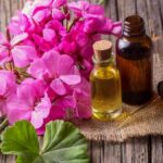 روغن شمعدانی راز زیبایی پوست و آرامش ذهن روغن شمعدانی راز زیبایی پوست و آرامش ذهن