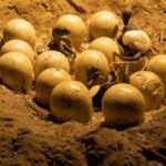 راز تخم فسیلشده ۷۰ میلیونساله؛ جنینی که هرگز متولد نشد! راز تخم فسیلشده ۷۰ میلیونساله؛ جنینی که هرگز متولد نشد!