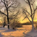 تفال به حافظ سه شنبه ۷ اسفند ۱۴۰۳؛ که برد به نزد شاهان ز من گدا پیامی