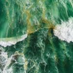 اقیانوسهای سبز در آینده؛ بازگشت به گذشتهای ۳ میلیارد ساله اقیانوسهای سبز در آینده؛ بازگشت به گذشتهای ۳ میلیارد ساله