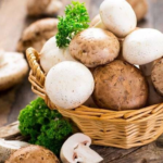 تاثیر شگفت‌انگیز قارچ‌ها در مقابله با آنفولانزای شدید