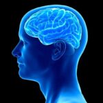 ۵ تفاوت اصلی بین فراموشی طبیعی و آلزایمر