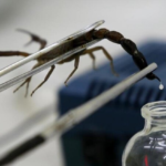 گرانقیمت‌ترین مایع جهان را بشناسید