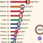 برترین صادرکنندگان شکلات در 60 سال گذشته + ویدیو