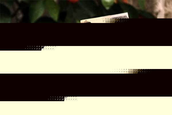 «جایزه ادبی شهید سیدعلی اندرزگو» فراخوان منتشر کرد – اخبار سینمای ایران و جهان