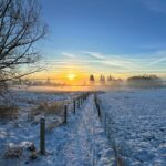 تفال به حافظ شنبه ۱۱ اسفند۱۴۰۳؛ نماز شام غریبان چو گریه آغازم……