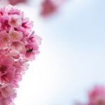 تفال به حافظ یکشنبه ۱۲ اسفند۱۴۰۳؛ خیال نقش تو در کارگاه دیده کشیدم….