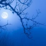 تفال به حافظ دوشنبه ۱۳ اسفند۱۴۰۳؛ اگر چه باده فرح بخش و باد گل‌بیز است…