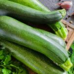 خواص کدو سبز؛ از درمان کبد چرب تا جلوگیری از افزایش وزن