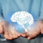 راز جوانی مغز، عضلات قویتر، چربی کمتر راز جوانی مغز، عضلات قویتر، چربی کمتر