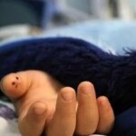 جزئیاتی از مرگ اسرارآمیز دختر سه و نیمساله اهوازی بر اثر اصابت گلوله جزئیاتی از مرگ اسرارآمیز دختر سه و نیمساله اهوازی بر اثر اصابت گلوله