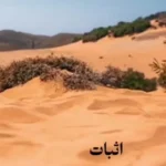 نظر رهبر انقلاب درباره مجسمه زانو زدن والرین در برابر پادشاه ایران نظر رهبر انقلاب درباره مجسمه زانو زدن والرین در برابر پادشاه ایران