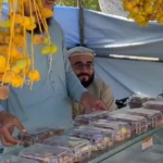 نخستین نخلستان در ننگرهار افغانستان نخستین نخلستان در ننگرهار افغانستان