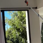 ببینید؛ ترفند جالب برای آزادی مرغ مگسخوار گرفتار در خانه ببینید؛ ترفند جالب برای آزادی مرغ مگسخوار گرفتار در خانه