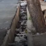 امام جمعه دست به بیل شد!