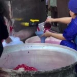 فصل بوی انار و نوای دف در روستای هورامان