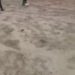 هواپیمای حامل وزیر معادن کنگو آتش گرفت هواپیمای حامل وزیر معادن کنگو آتش گرفت