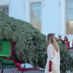 استقبال ملانیا ترامپ از درخت کریسمس در کاخ سفید استقبال ملانیا ترامپ از درخت کریسمس در کاخ سفید