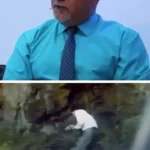 روایت بهروز افخمی از نقش پدر نیکی کریمی در قراردادهای بازیگری او روایت بهروز افخمی از نقش پدر نیکی کریمی در قراردادهای بازیگری او