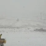 نمایی دیگر از بارش برف پاییزی امروز در تهران نمایی دیگر از بارش برف پاییزی امروز در تهران