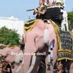 رژه فیل‌های صورتی در تایلند برای ادای احترام به ملکه مادر