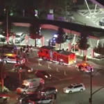 تیراندازی در مرکز خرید کالیفرنیا همزمان با جمعه سیاه