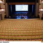 بازیگران و عوامل «رابین هود» معرفی شدند بازیگران و عوامل «رابین هود» معرفی شدند