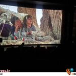 «موی گرگ» به همراه «جهیزیه» پروانه نمایش گرفتند