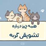 همه چیز درباره تشویقی گربه