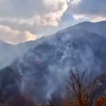 وضعیت قرمز در جنگلهای الیت؛ آتشسوزی همچنان پیشروی میکند وضعیت قرمز در جنگلهای الیت؛ آتشسوزی همچنان پیشروی میکند