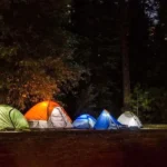 اقامت شبانه در جنگل‌های آمل ممنوع شد