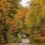 ورود گردشگران به جنگلهای سوادکوه ممنوع شد/ علت چیست؟ ورود گردشگران به جنگلهای سوادکوه ممنوع شد/ علت چیست؟