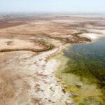 نقش تالابها در حفظ اکوسیستم/ هشدار کارشناسان برای انقراض گونهها نقش تالابها در حفظ اکوسیستم/ هشدار کارشناسان برای انقراض گونهها