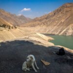 تصاویر؛ وضعیت سد کرج تصاویر؛ وضعیت سد کرج