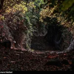 تصاویر؛ طبیعت پاییزی قره داغ تصاویر؛ طبیعت پاییزی قره داغ