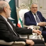 لاریجانی: حاضریم «کارت سفید» به پاکستانیها بدهیم لاریجانی: حاضریم «کارت سفید» به پاکستانیها بدهیم