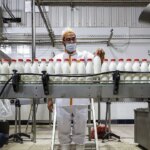 شوک به بازار لبنیات؛ ماست و پنیر گران شدند