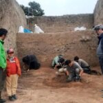 شکفتن دانه برنج ۳۰۰۰ ساله از کاوش لایهنگاری محوطه باستانی قلعهکِش آمل شکفتن دانه برنج ۳۰۰۰ ساله از کاوش لایهنگاری محوطه باستانی قلعهکِش آمل