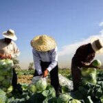 حراج آب بیخ گوش تهران بیآب حراج آب بیخ گوش تهران بیآب