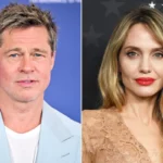 افشای فشار روحی آنجلینا جولی در جدال حقوقی با برد پیت بر سر فروش تاکستان